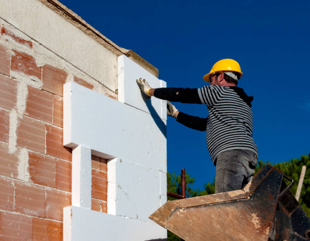 Best Cellulose Insulation in Alanuk, AK
