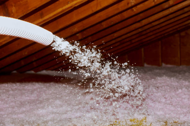 Types of Insulation We Offer in Alakanuk, AK