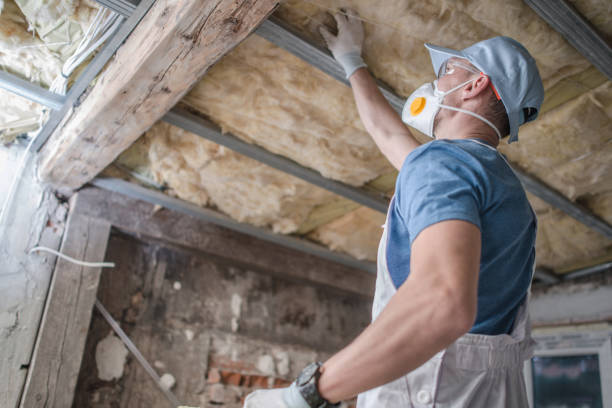 Best Fiberglass Insulation in Alanuk, AK