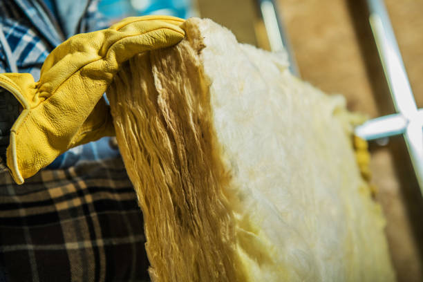 Best Spray Foam Insulation in Alanuk, AK