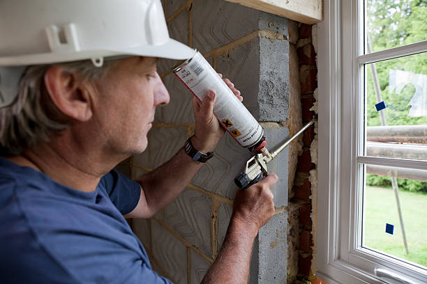 Best Eco-Friendly Insulation in Alanuk, AK