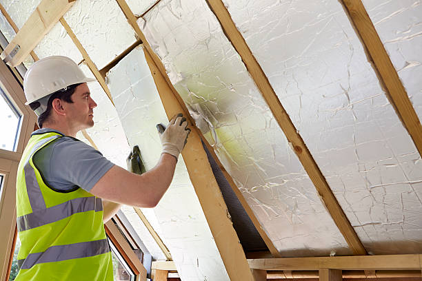 Best Spray Foam Insulation in Alanuk, AK